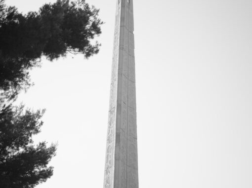 La città ascolta l’eco profondo della balena